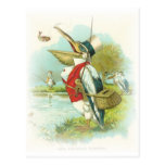 Pelican Fishing Post Cards