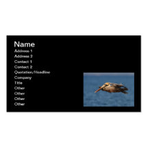 Pelican Glide Business Card