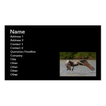 Pelican in Flight Business Card Template