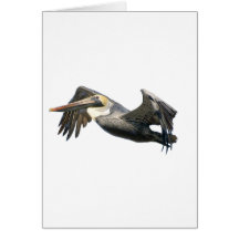 Pelican in Flight Greeting Card