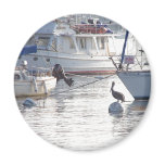 Pelican on Bouy Magnet