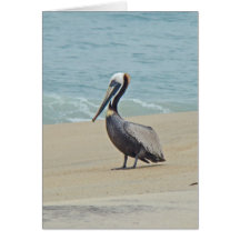 Pelican on Outer Banks OBX NC Greeting Card