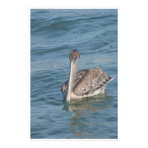 Pelican on the Inter-Coastal Custom Stationery
