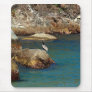 Pelican Perch Mouse Pads
