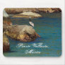 Pelican Perch; Puerto Vallarta, Mexico Mouse Pads