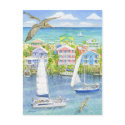 Pelican Point of View postcards