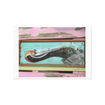 Pelican print on canvas by Captain Julie Canvas Prints