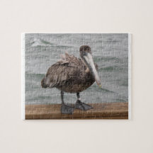 Pelican Puzzle