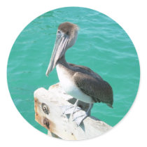 Pelican Round Sticker