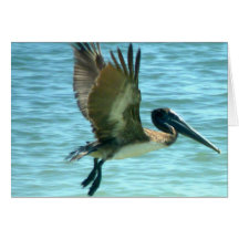Pelican Watch Greeting Card