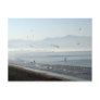 Pelicans Diving on Bucerias Beach Post Cards