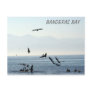 Pelicans Hunting off Bucerias Beach Postcard