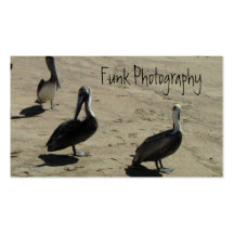 Pelicans on the Beach Business Card Templates