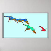 Pelicans & Seagull Art Print