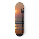 Pelicans Sunrise Ocean Daytona Beach FL Skateboard