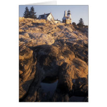 Pemaquid Point Lighthouse and Tide Pool Cards