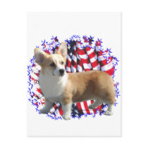 Pembroke Welsh Corgi Patriot
