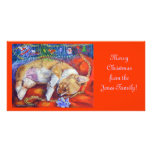 Pembroke Welsh Corgi Photo Card