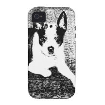 Pen and Ink Dog on Cushion iPhone 4/4S Cover
