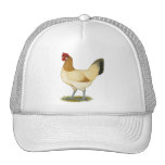 Penedesenca:  Wheaten Hen Trucker Hats