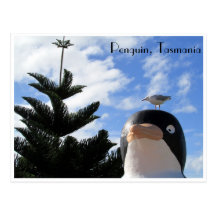 penguin and gull post cards