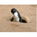 Penguin Bird Animal Cut Outs