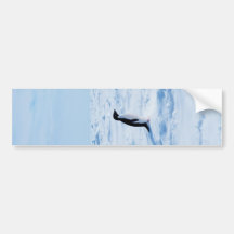 penguin bumper stickers