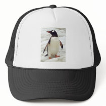 PENGUIN MESH HAT