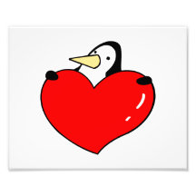 Penguin holding red heart cute design photograph