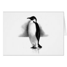 PENGUIN IN PENCIL: REALISM ART GREETING CARDS
