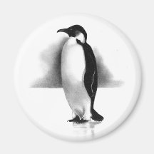 PENGUIN IN PENCIL: REALISM ART MAGNETS