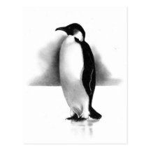 PENGUIN IN PENCIL: REALISM ART POSTCARDS
