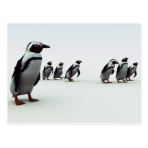 Penguin Line-up Post Cards