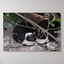 Penguin Love Posters