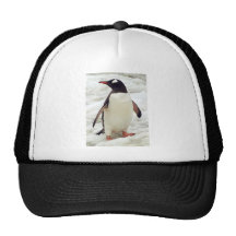 PENGUIN MESH HAT
