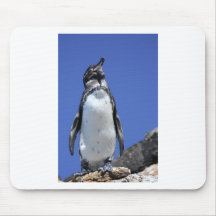 Penguin on Blue Mousepads