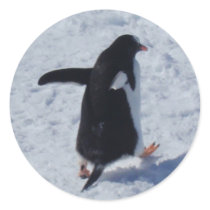 Penguin on the move Stickers Return Address Labels