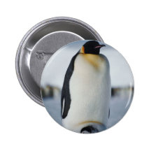 Penguin Parent & Chick Pins