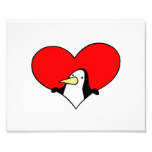 penguin peeking out of red heart photograph
