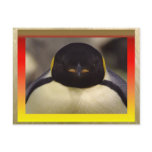 Penguin Postcard