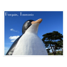 penguin tasmania postcard