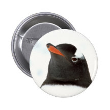 Penguin-tastic Buttons