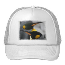 Penguins Baseball Hat
