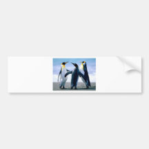 Penguins Bumper Sticker