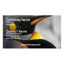 Penguins Business Card