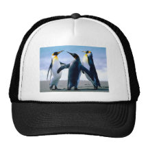 Penguins Hat
