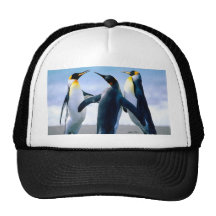 Penguins Mesh Hats
