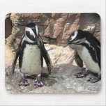 Penguins Mouse Pad