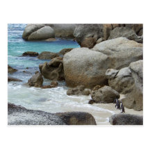 Penguins on the Beach Post Card