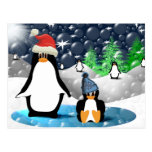 Penguins Postcards